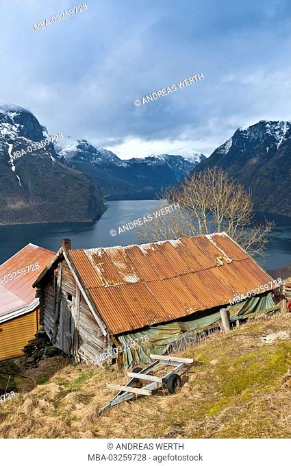 Farm in the Aurlandsfjord, a branch of the Sognefjords, place Aurland, late winter, Sogn of Fjordane, Norway