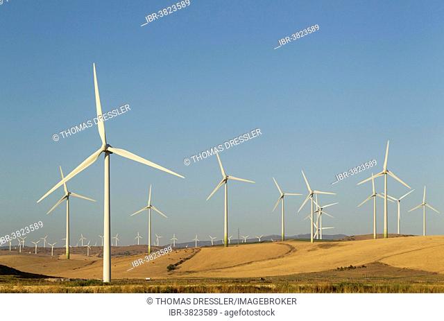 Windmills on a wind farm near Zahara de los Atunes, Cádiz province, Andalucía, Spain
