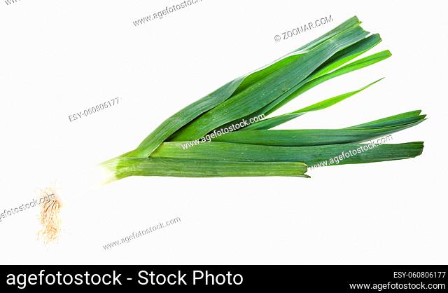 fresh green leek vegetabe isolated on white background