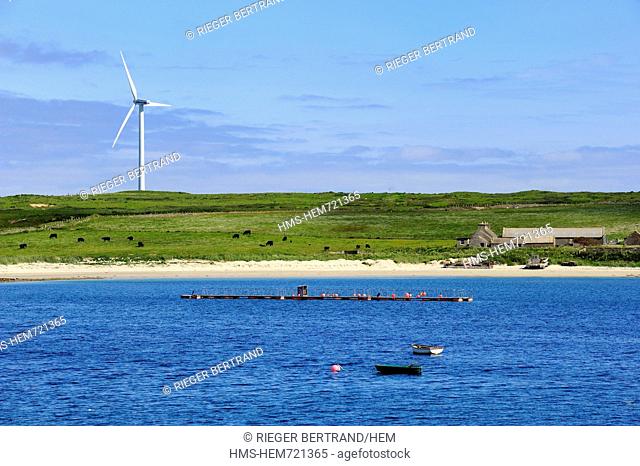 United Kingdom, Scotland, Orkney Islands, Isle of Burray, Weddell Bay and wind turbine
