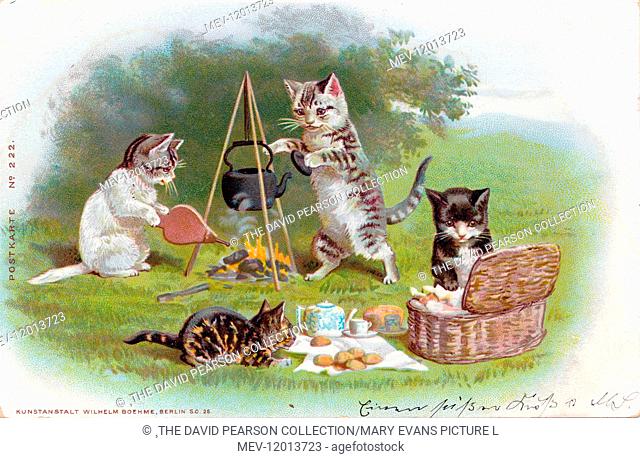CARTE POSTALE POSTCARD PUBLISHED BY FITTING IMAGE HOLLAND CAT CHAT PIANO 