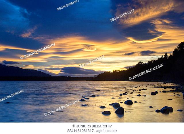 Loch Morlich in evening light. Cairngorms National Park, Scotland, Great Britain