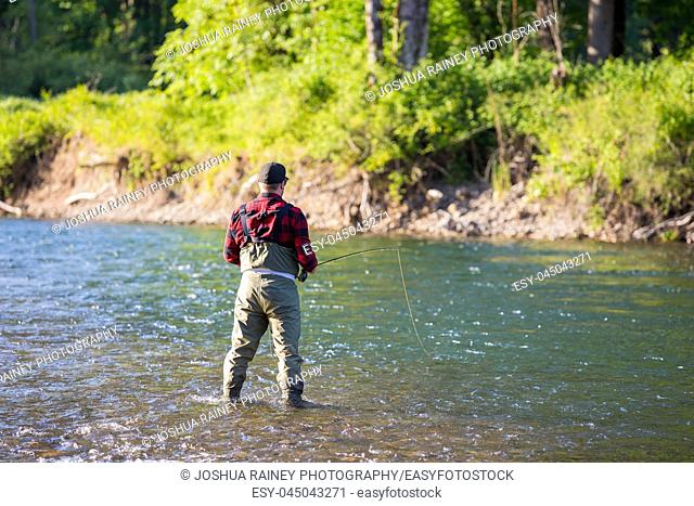 Fly fisherman casting a fly rod to rising fish on the McKenzie River in Oregon while catch and release fishing for native redside rainbow trout