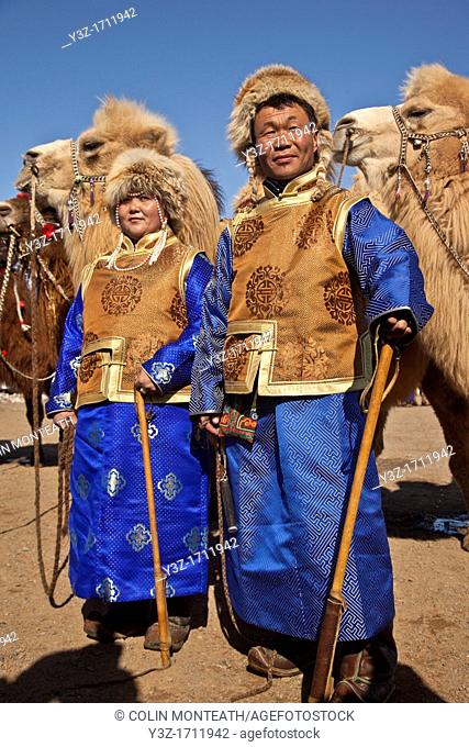 Bactrian camels, Grand Parade, ' festival of a thousand camels' Bulgan, winter in Gobi desert, Mongolia