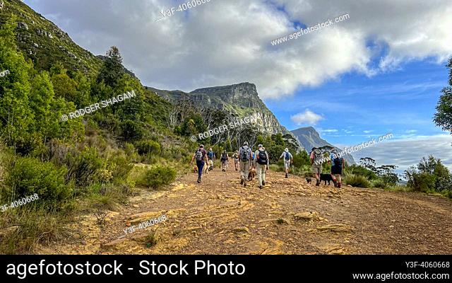 Group of men wioth their dogs walk up a rugged mountain trail