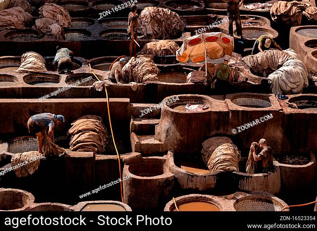 Fez, Morocco-Oct. 10, 2019: Chouara Tannery in Fez city. Workers dyeing the leathers in the vats for further process.It is the oldest and most tourist...