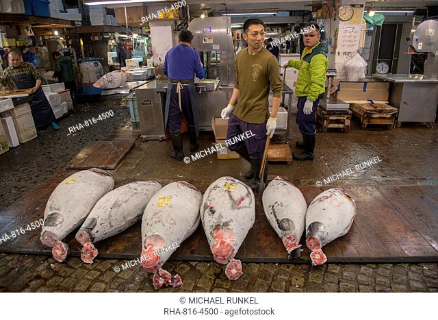 Frozen tuna in the Tsukiji Fish Market, Tokyo, Japan, Asia