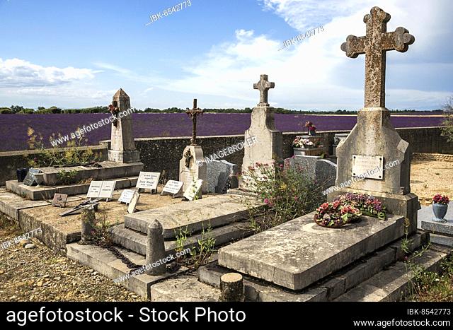 Graves, gravestones, cemetery in Puimoisson, Provence, region Provence-Alpes-Côte d'Azur, department Alpes-de-Haute-Provence, France, Europe