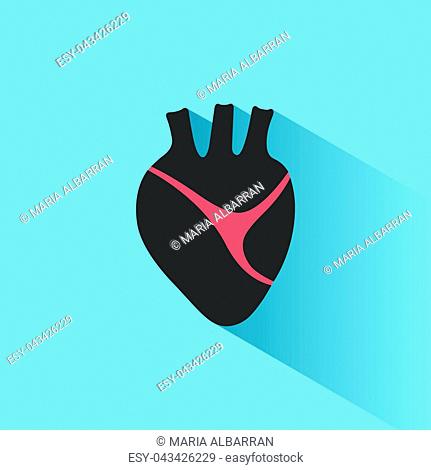 Human heart icon with shade on a blue background. Vector illustration