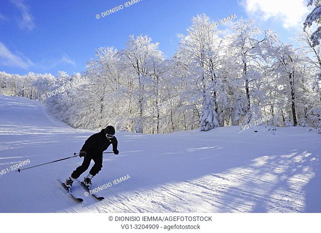 Gambarie, district of Reggio Calabria, Calabria, Italy, Europe, ski slope on Mount Nardello 1770 mt