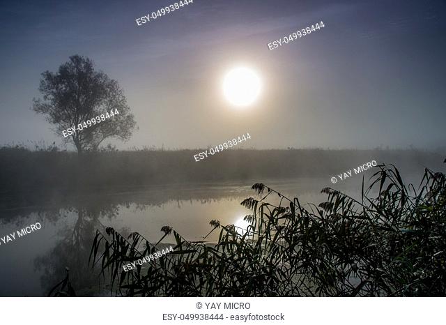 Dramatic mystical twilight landscape with rising sun, tree, reed and fog over water