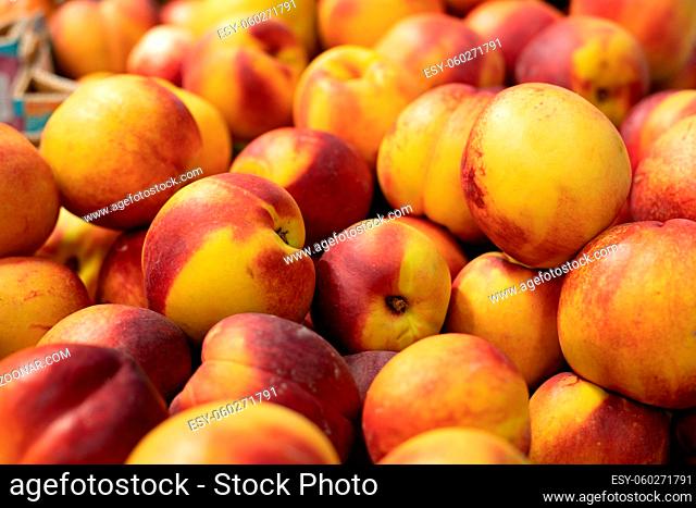 Heap of ripe red yellow aromatic nectarines. Fruit harvest sale. Background backdrop a large number of peaches nectarines on supermarket shelves