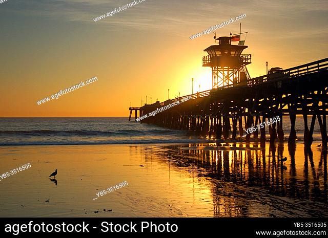 A lone bird has the beach to itself, while in the shadow of the San Clemente Pier in California