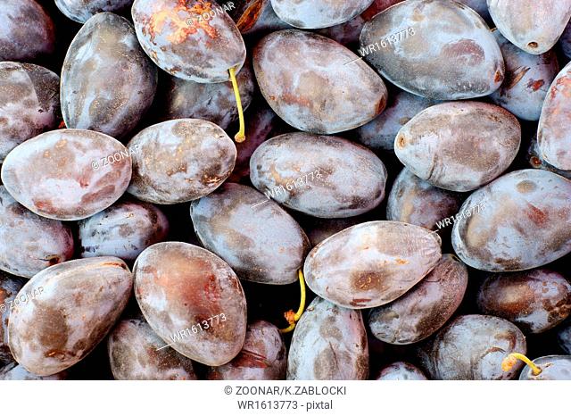 plums fruit background