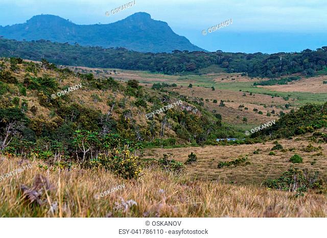 Beautiful landscape of montane grassland in Horton Plains National Park, Sri Lanka
