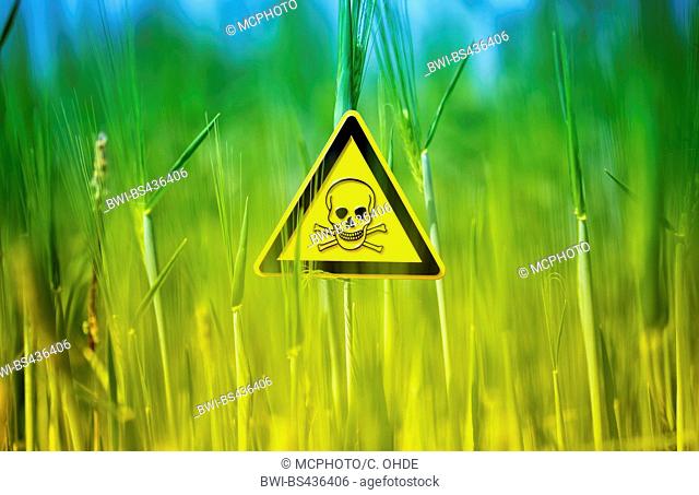 common barley, six-rowed barley (Hordeum vulgare), barley and warning sign, use of herbizid glyphosat in agricultural economy, Germany