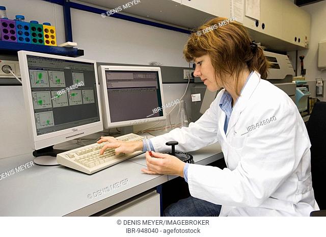 Hematology department laboratory technician analyzing leukocyte surface characteristics using a computer