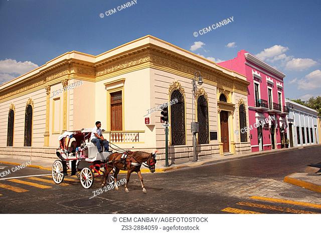 Horse carriage in front of the colonial buildings in the city center, Merida, Riviera Maya, Yucatan Province, Mexico, Central America