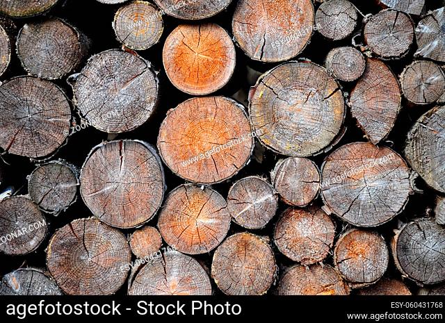 Stapel aus Fichtenholz - Pile of spruce wood