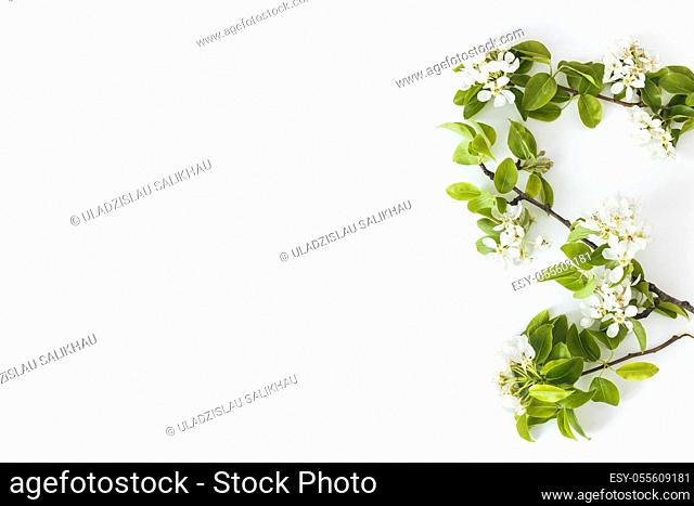 Blooming spring pear branches on a white background, floral frame, top view, flat layout. Spring concept