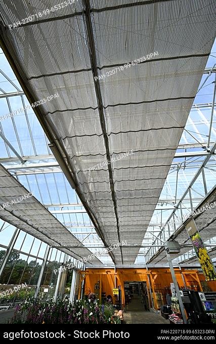 18 July 2022, Brandenburg, Michendorf: An approximately 1400-square-meter convertible greenhouse has been built at the Langerwisch Rose Estate with EU funding