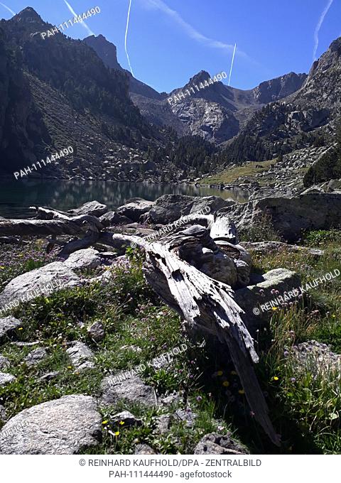 Hike in the National Park Aiguestortes along the Monastero Valley in the Spanish Pyrenees - everywhere you will find deadwood, recorded on 14.09