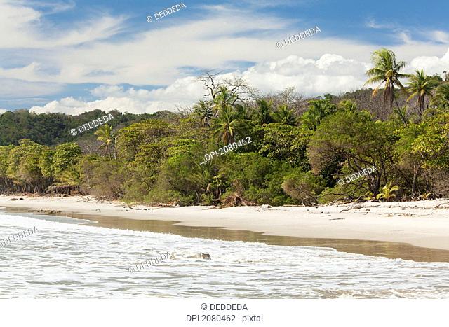 Santa teresa beach near mal pais malpais on the nicoya peninsula, puntarenas province costa rica