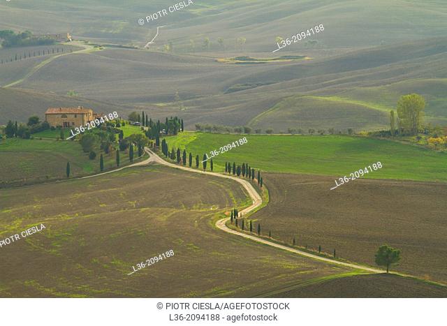 Val d'Orcia in autumn: view to the South from Pienza town walls, Tuscany, Italy