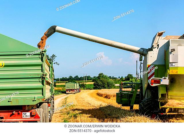 Ein Getreidefeld mit Weizen bei der Ernte. Ein Mähdrescher bei der Arbeit