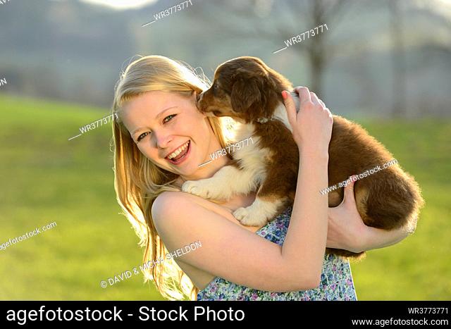 Young woman with australian sheperd puppy, Bavaria, Germany, Europe