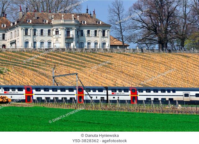 train crossing vineyards in front of Château de Crans facing Lake Geneva and Mont Blanc is is organic wine estate, Château is one of the most elegant historic...
