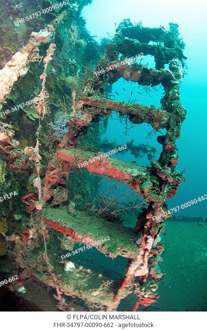 Coral encrusted on ladder on shipwreck, Nabire, Raja Ampat Islands (Four Kings), West Papua, New Guinea, Indonesia, June