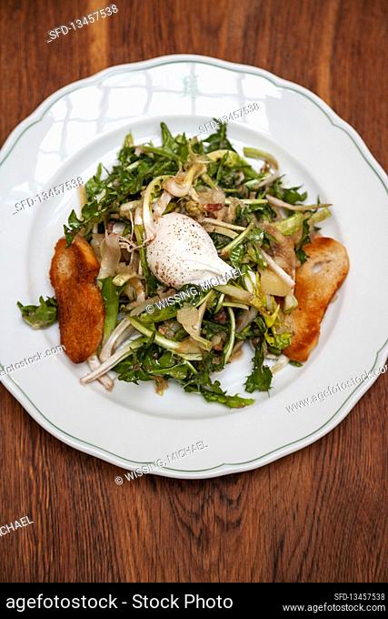 Dandelion salad with bacon, potatoes and egg from Baden