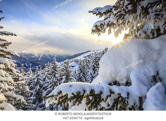 Sunbeam in the snowy woods framed by the winter sunset Bettmeralp district of Raron canton of Valais Switzerland Europe