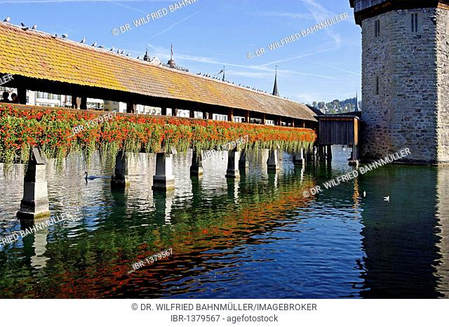 Kapellbruecke chapel bridge and Wasserturm water tower, Lucerne, Canton of Lucerne, Switzerland, Europe