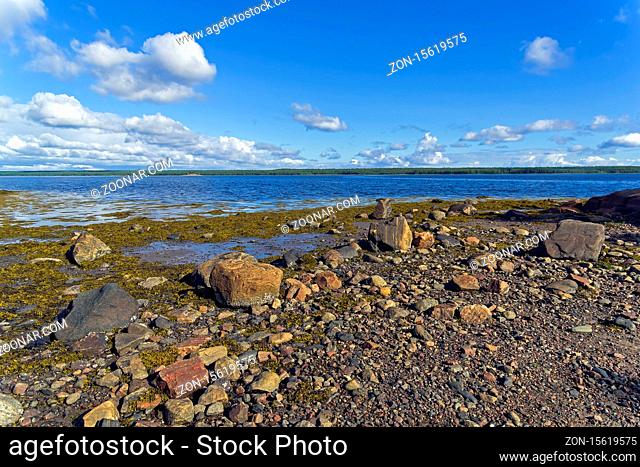 The littoral zone at low tide. The shore of the White Sea. Kandalaksha Gulf, Karelia, Russia, end of June