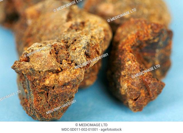 Myrrh is the dried sap of the tree Commiphora myrrha, native to Somalia and eastern Ethiopia. According to Chinese medicine experts it can affect the heart