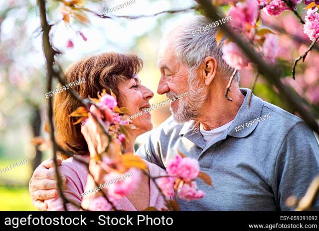 Front view of beautiful senior couple in love outside in spring nature, talking
