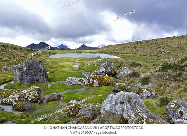 Andean landscape with bofedales. Junin, Perú