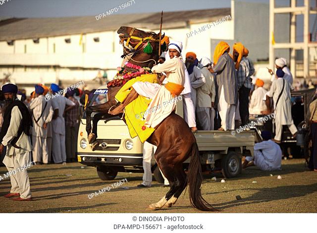 Nihang or Sikh warrior on his horse before stunts during cultural events for 300th year's celebrations of Consecration of perpetual Sikh Guru Granth Sahib at...