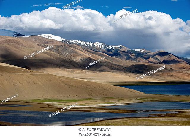 Tso Moriri lake at an altitude of 4595m, Ladakh, Himalayas, north India, Asia