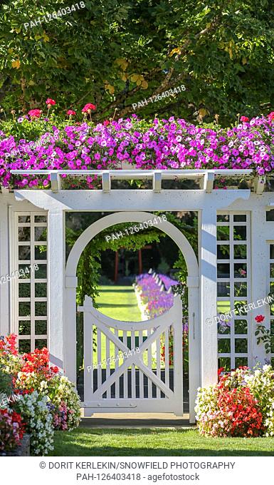 11.09.2014, Canada, Victoria, Butchart Gardens north of Victoria on Vancouver Island, purple begonias, garden gate, pergola, sunlight, flowers, plants, garden