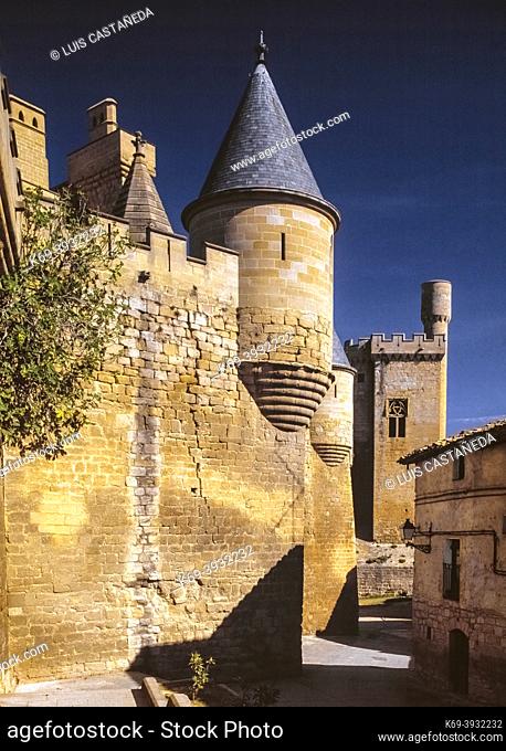 The Castle. Olite. Navarra. Spain