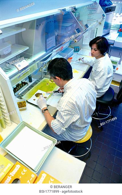 Gustave-Roussy Institute, France. Laboratory : preparation of tissues after macroscopic dissection. Placement of the tissues on blades to analyze them under...