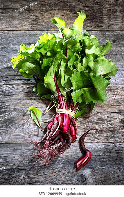 Young beetroot with leaves, bundled