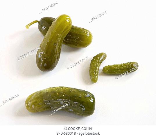 Pickles on a White Background