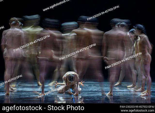 PRODUCTION - 02 February 2023, Saxony-Anhalt, Magdeburg: The ballet from the Magdeburg Theater rehearses a scene from the piece ""Le Sacre du Printemps"" at the...