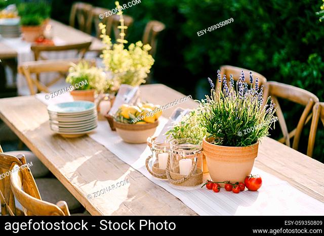 Elements of table decoration - clay pot with flowering lavender, branch of cherry tomatoes, burning candles in glass candlestick