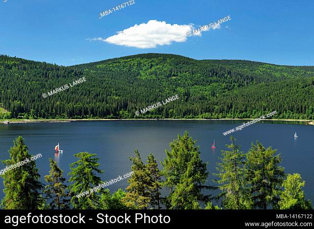 sailboats on the schluchsee, southern black forest, baden-wuerttemberg, germany
