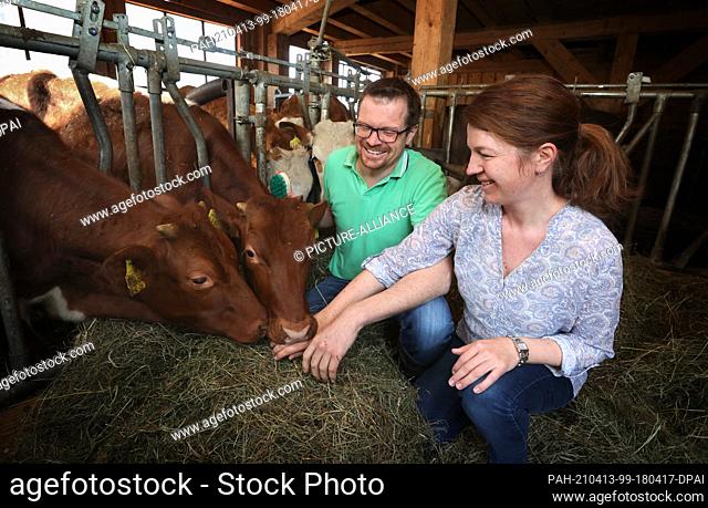 31 March 2021, Bavaria, Rettenberg: Sebastian Uhlemair and his wife Cornelia sit with their young cattle in the barn. On the farm